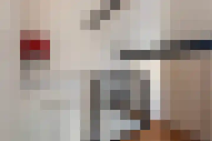Jintewarren 27 Hurdegaryp thumbnail 31