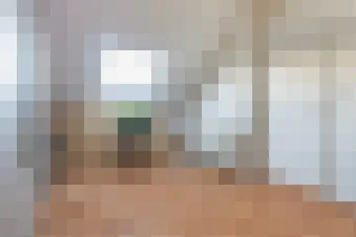 Jintewarren 27 Hurdegaryp thumbnail 32