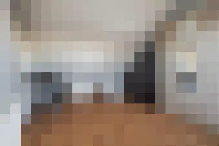 Jintewarren 27 Hurdegaryp thumbnail 33