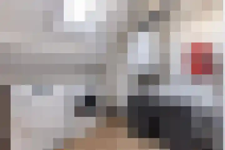Jintewarren 27 Hurdegaryp thumbnail 34