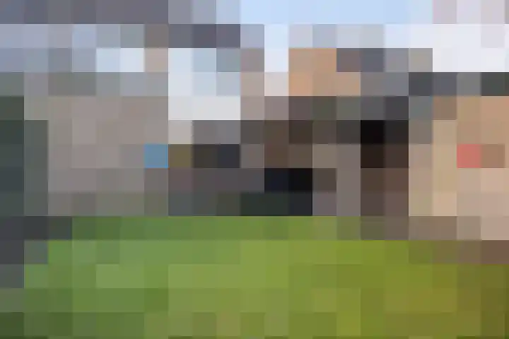 Jintewarren 27 Hurdegaryp thumbnail 36