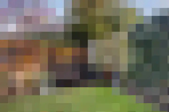 Jintewarren 27 Hurdegaryp thumbnail 37