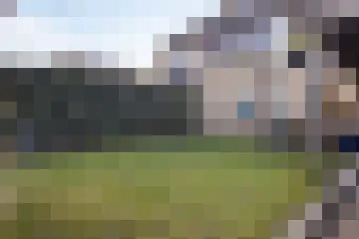 Jintewarren 27 Hurdegaryp thumbnail 38