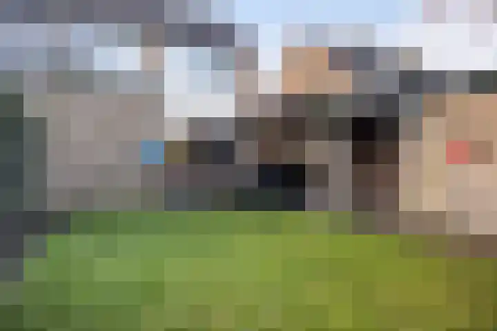 Jintewarren 27 Hurdegaryp thumbnail 4