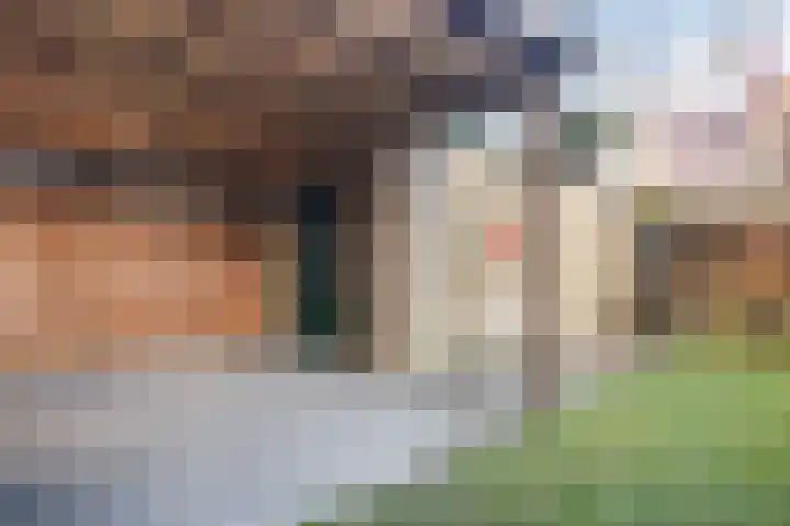 Jintewarren 27 Hurdegaryp thumbnail 40