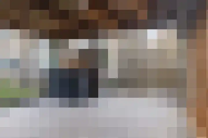 Jintewarren 27 Hurdegaryp thumbnail 42