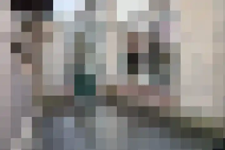 Jintewarren 27 Hurdegaryp thumbnail 43