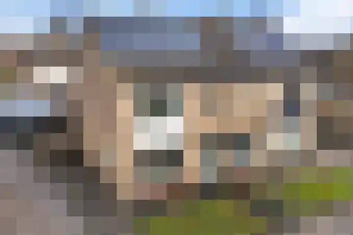 Jintewarren 27 Hurdegaryp thumbnail 45