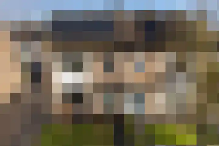 Jintewarren 27 Hurdegaryp thumbnail 46
