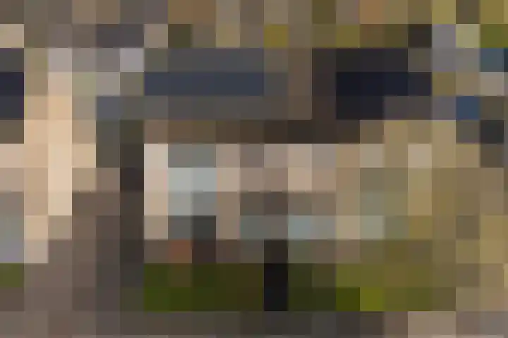 Jintewarren 27 Hurdegaryp thumbnail 47