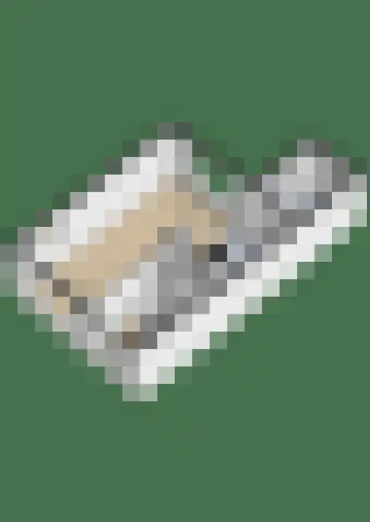 Jintewarren 27 Hurdegaryp thumbnail 53