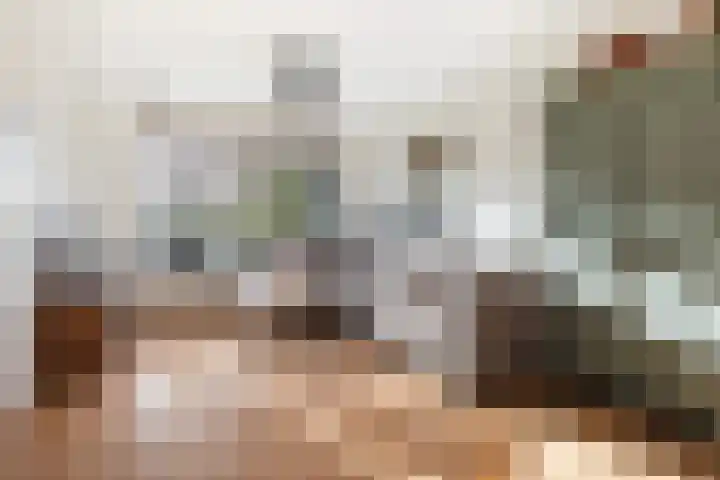 Jintewarren 27 Hurdegaryp thumbnail 8