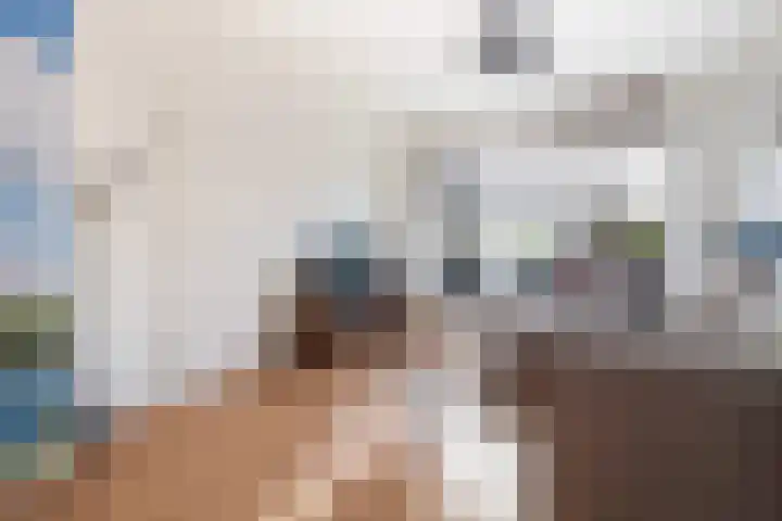 Jintewarren 27 Hurdegaryp thumbnail 9