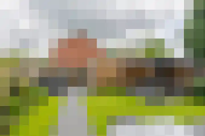 Jip en Janneke 111 Gorinchem thumbnail 13