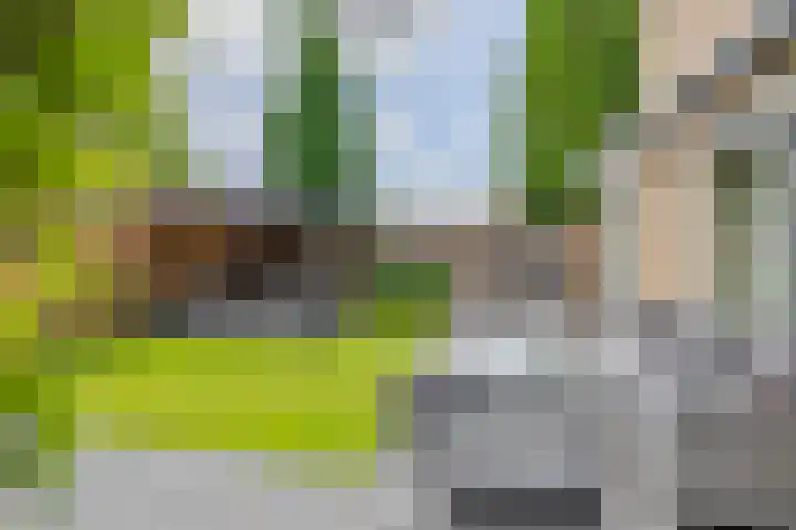 Jip en Janneke 111 Gorinchem thumbnail 14