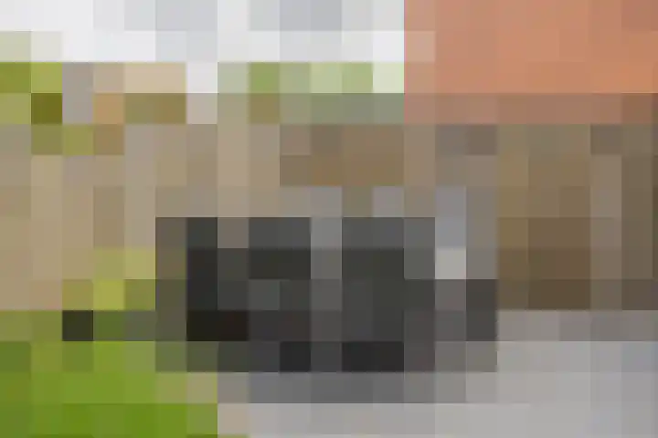 Jip en Janneke 111 Gorinchem thumbnail 15