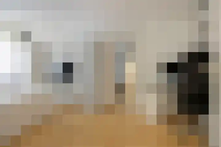 Jip en Janneke 111 Gorinchem thumbnail 22