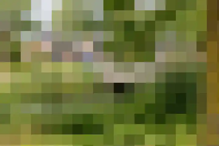 Jip en Janneke 111 Gorinchem thumbnail 30