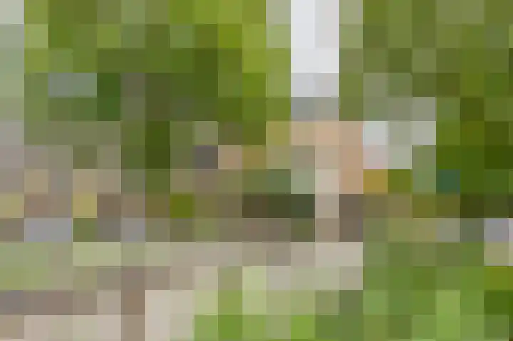 Jip en Janneke 111 Gorinchem thumbnail 31