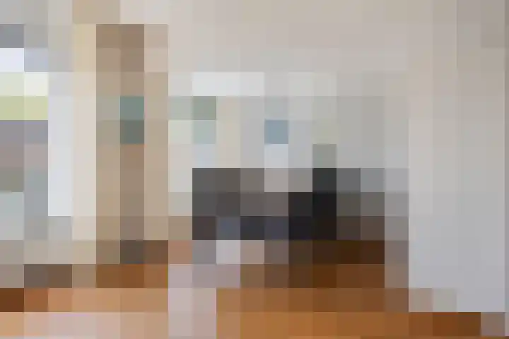 Jip en Janneke 111 Gorinchem thumbnail 7