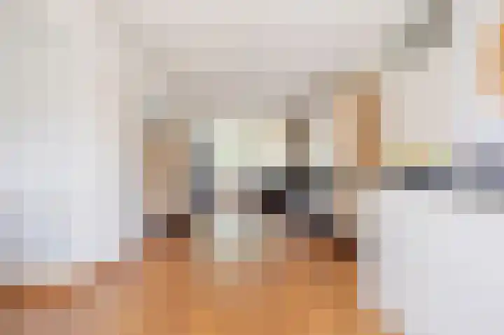 Jip en Janneke 111 Gorinchem thumbnail 8
