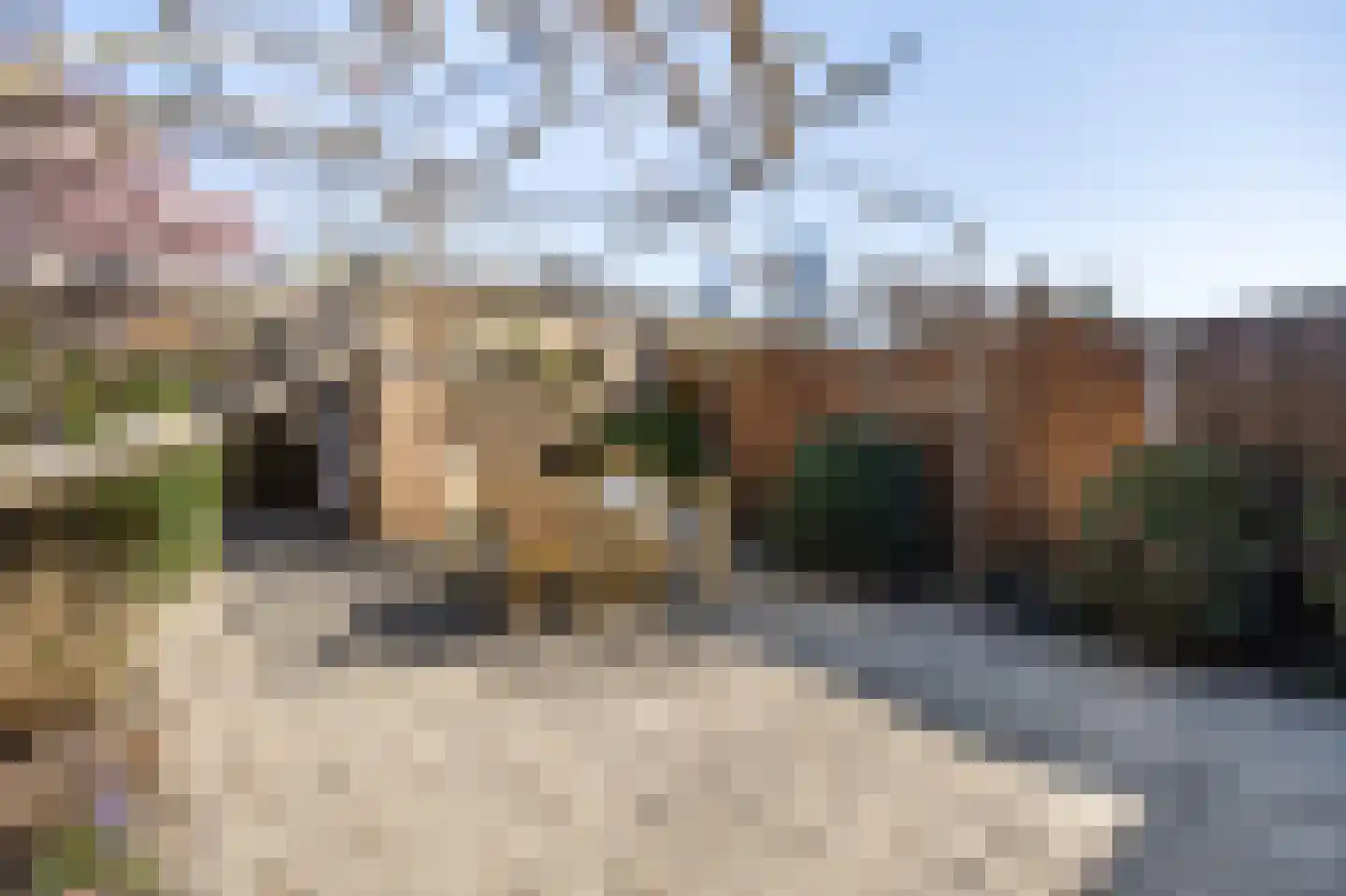Jip en Janneke 119 Gorinchem thumbnail 13
