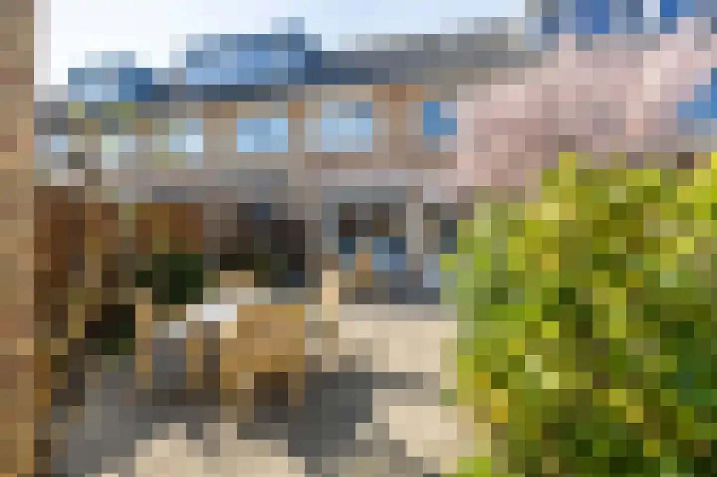 Jip en Janneke 119 Gorinchem thumbnail 4