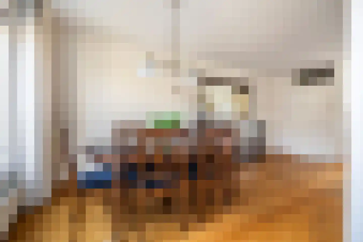 Jip en Janneke 119 Gorinchem thumbnail 8