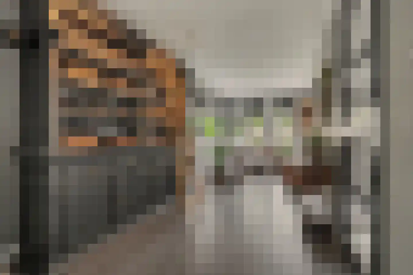 Jip en Janneke 13 Kapelle thumbnail 13
