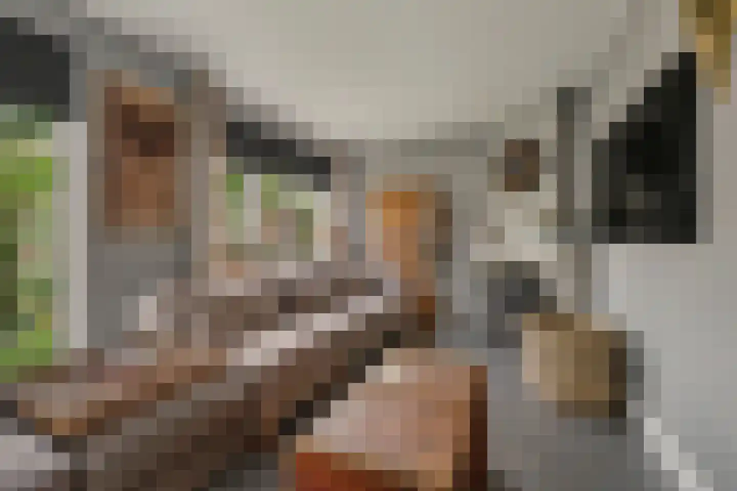 Jip en Janneke 13 Kapelle thumbnail 14