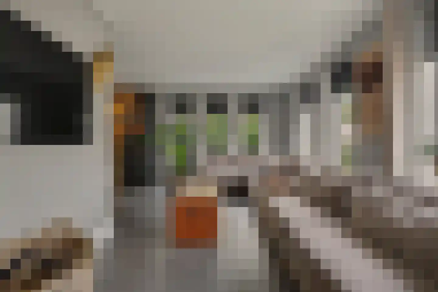 Jip en Janneke 13 Kapelle thumbnail 15