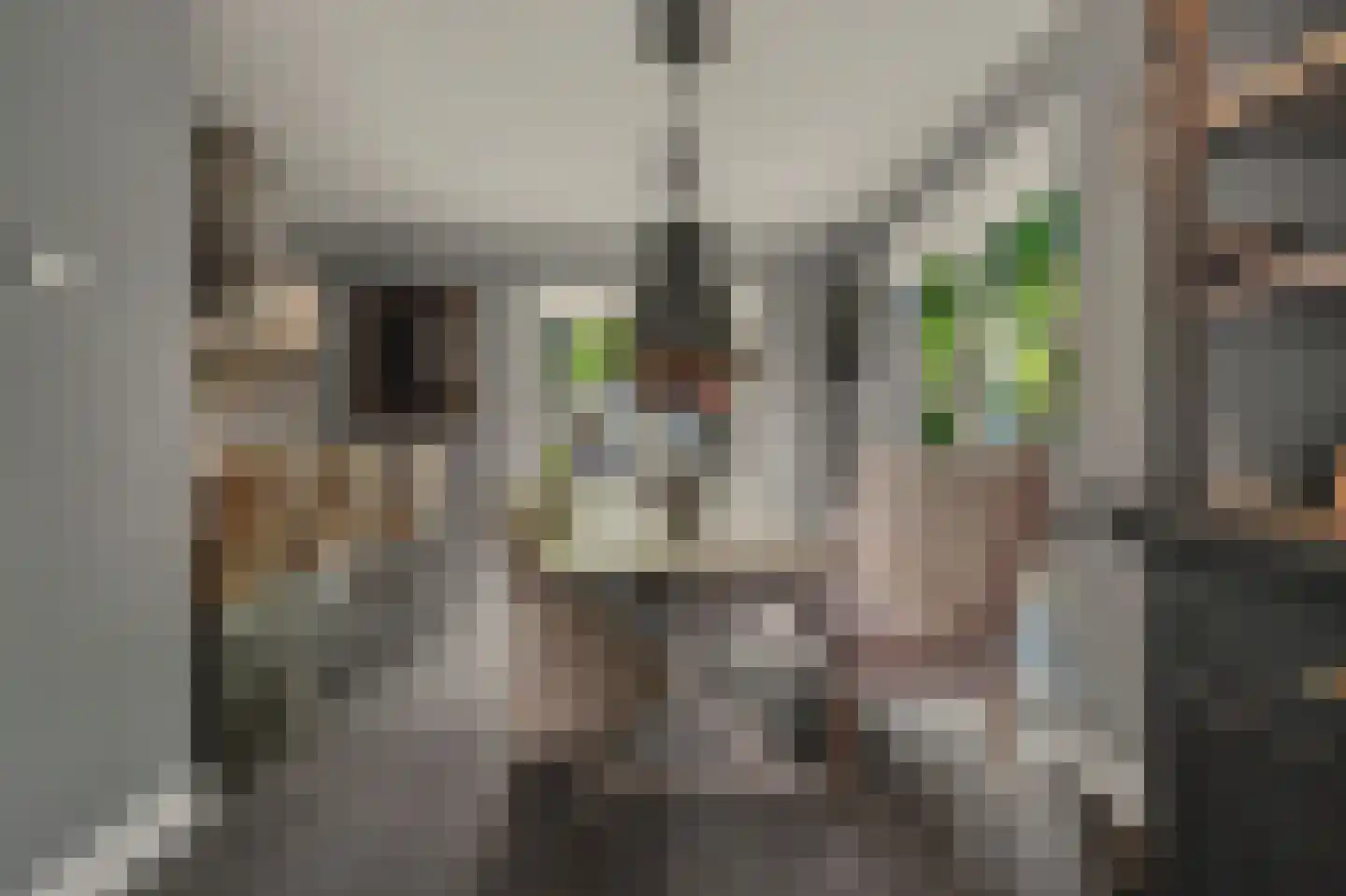 Jip en Janneke 13 Kapelle thumbnail 17