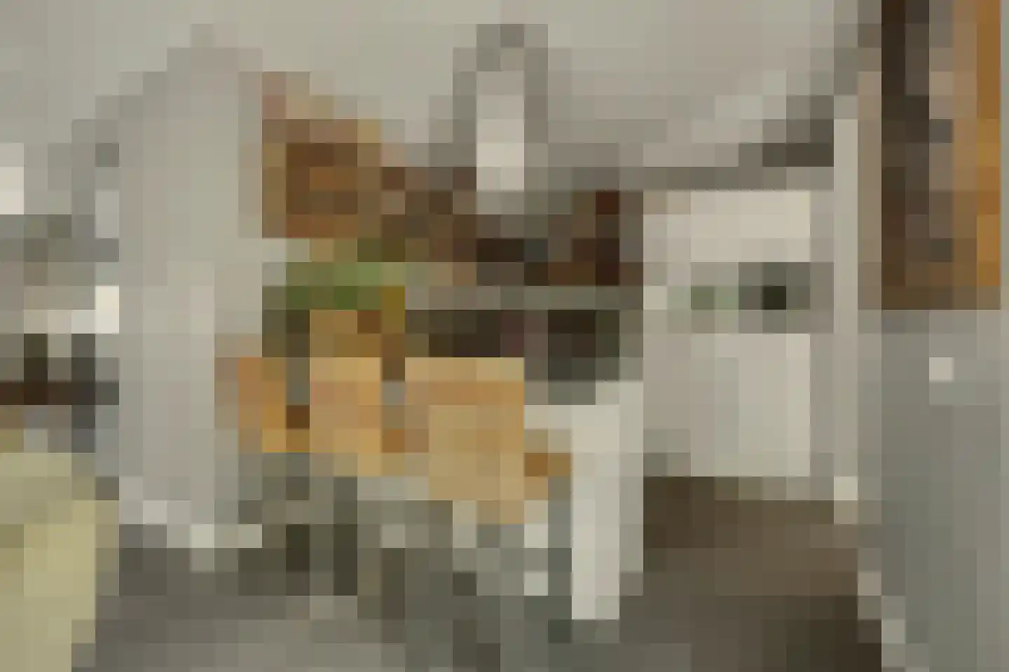 Jip en Janneke 13 Kapelle thumbnail 21