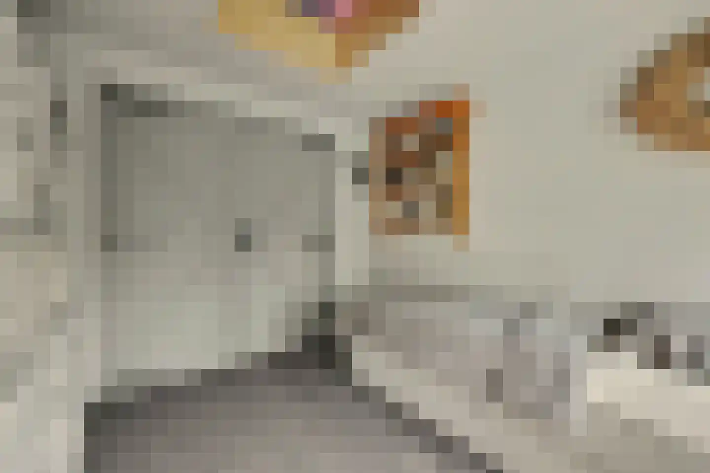 Jip en Janneke 13 Kapelle thumbnail 24