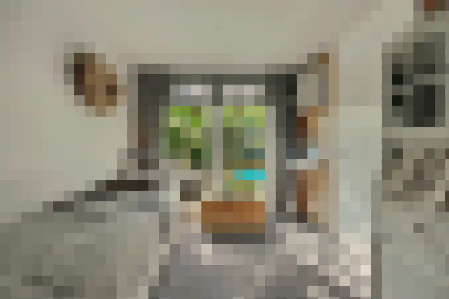 Jip en Janneke 13 Kapelle thumbnail 25
