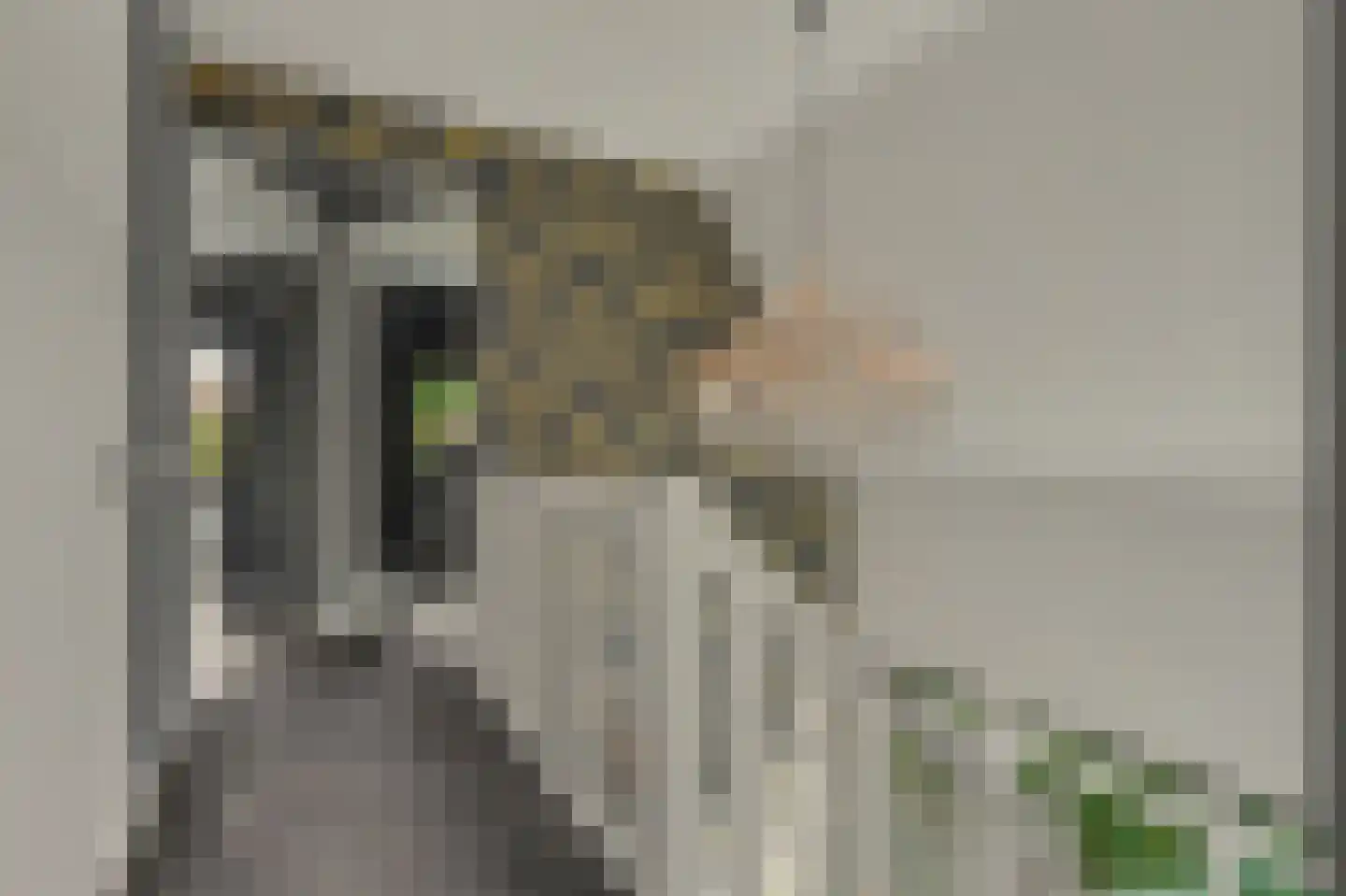 Jip en Janneke 13 Kapelle thumbnail 27