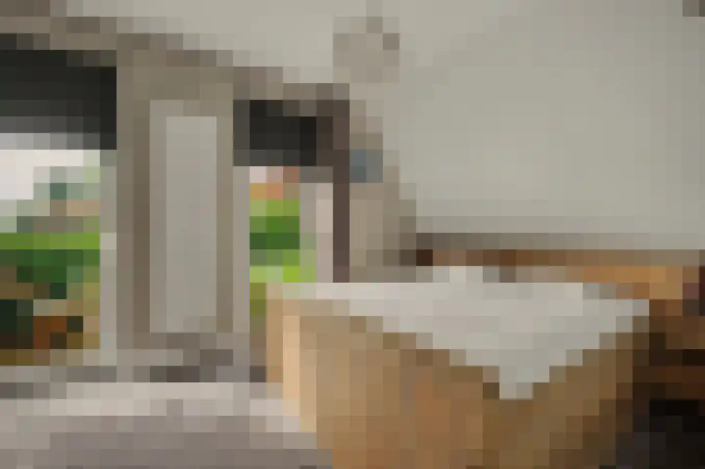Jip en Janneke 13 Kapelle thumbnail 28