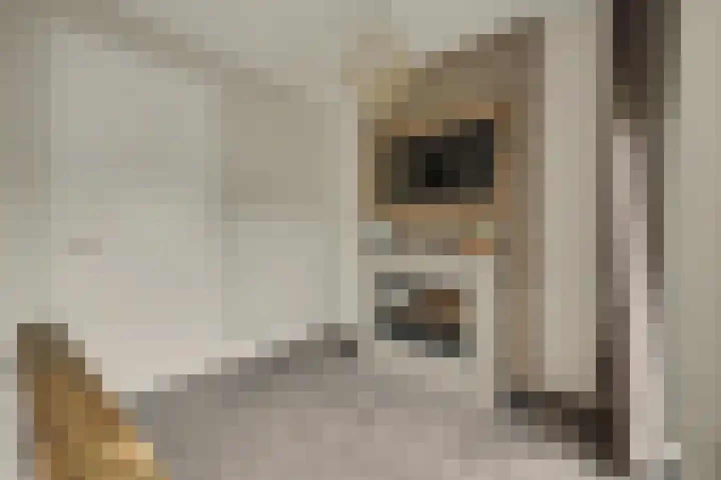 Jip en Janneke 13 Kapelle thumbnail 29