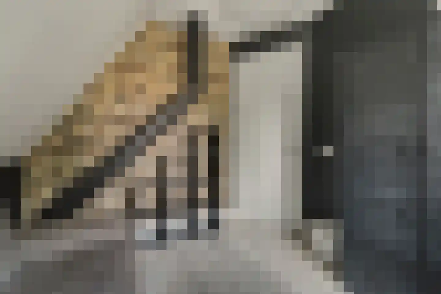 Jip en Janneke 13 Kapelle thumbnail 34