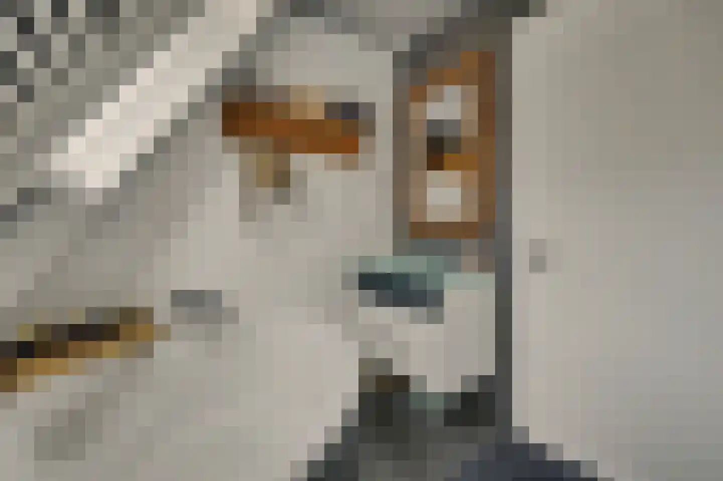 Jip en Janneke 13 Kapelle thumbnail 36