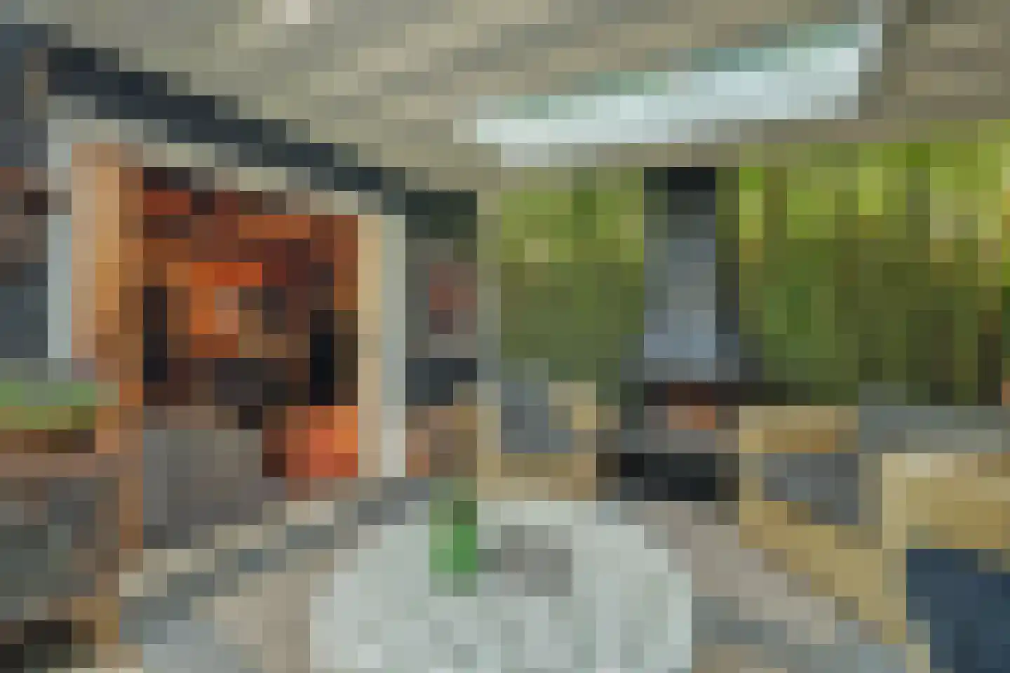 Jip en Janneke 13 Kapelle thumbnail 44