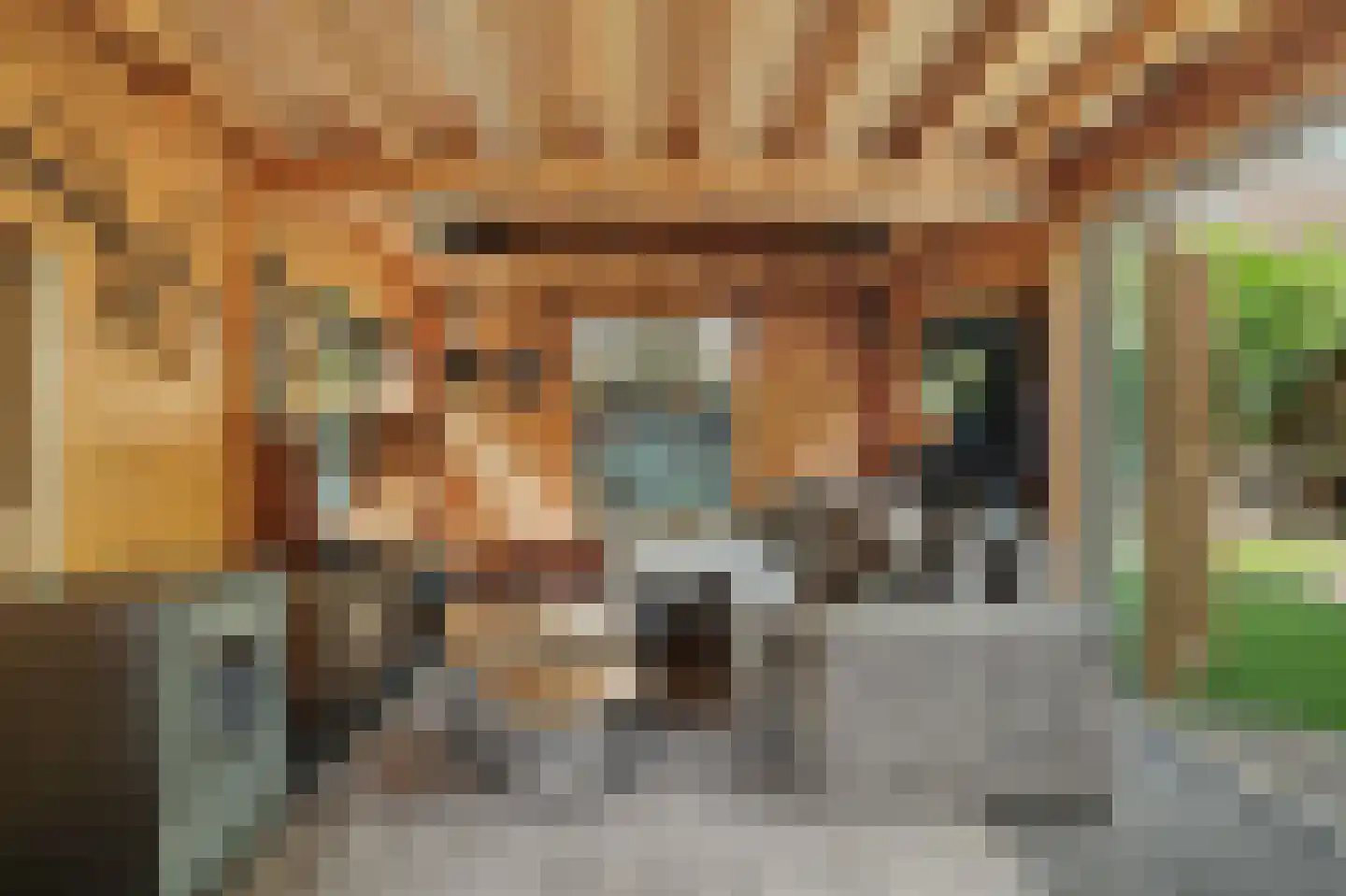 Jip en Janneke 13 Kapelle thumbnail 45