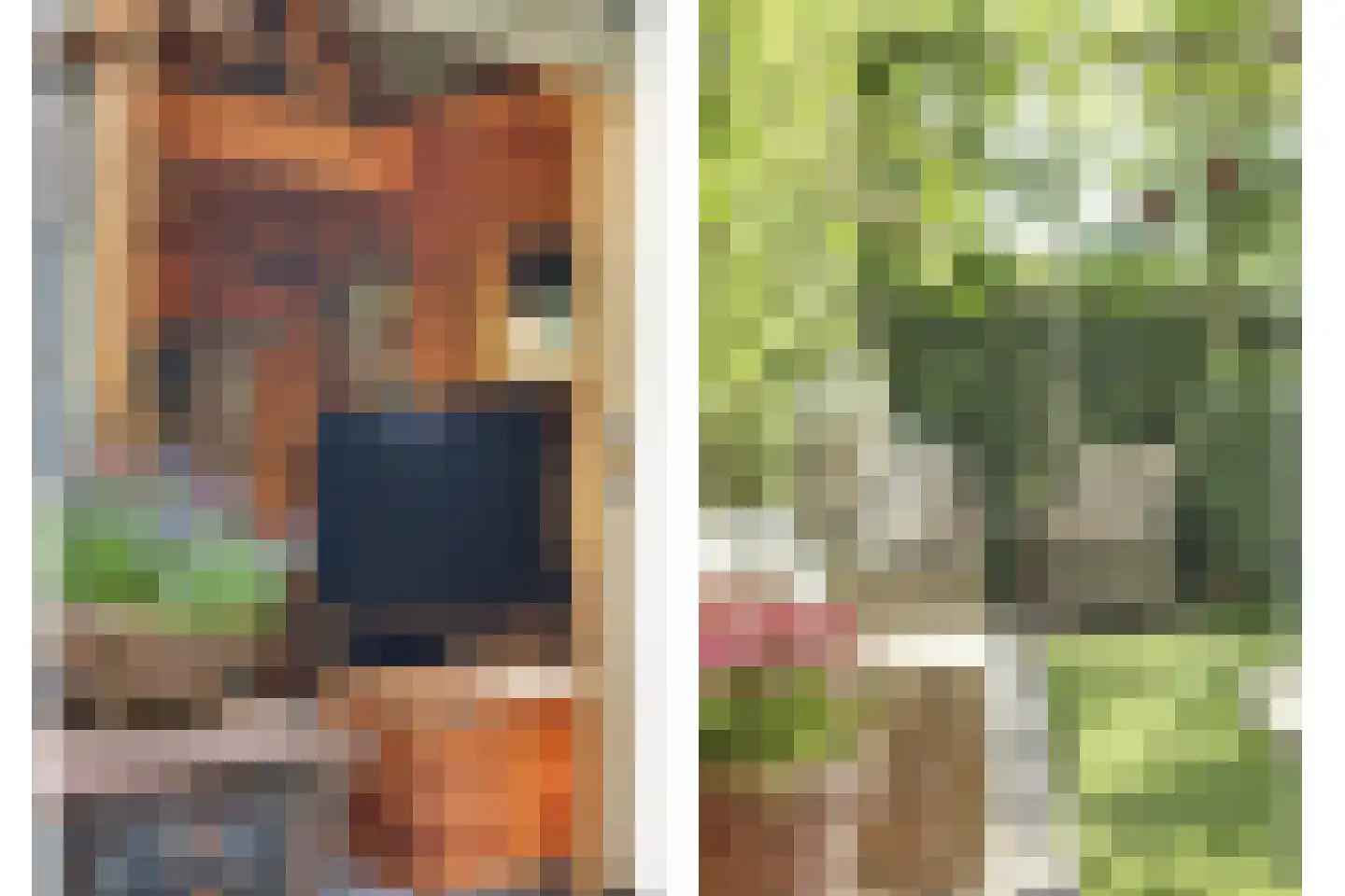 Jip en Janneke 13 Kapelle thumbnail 49