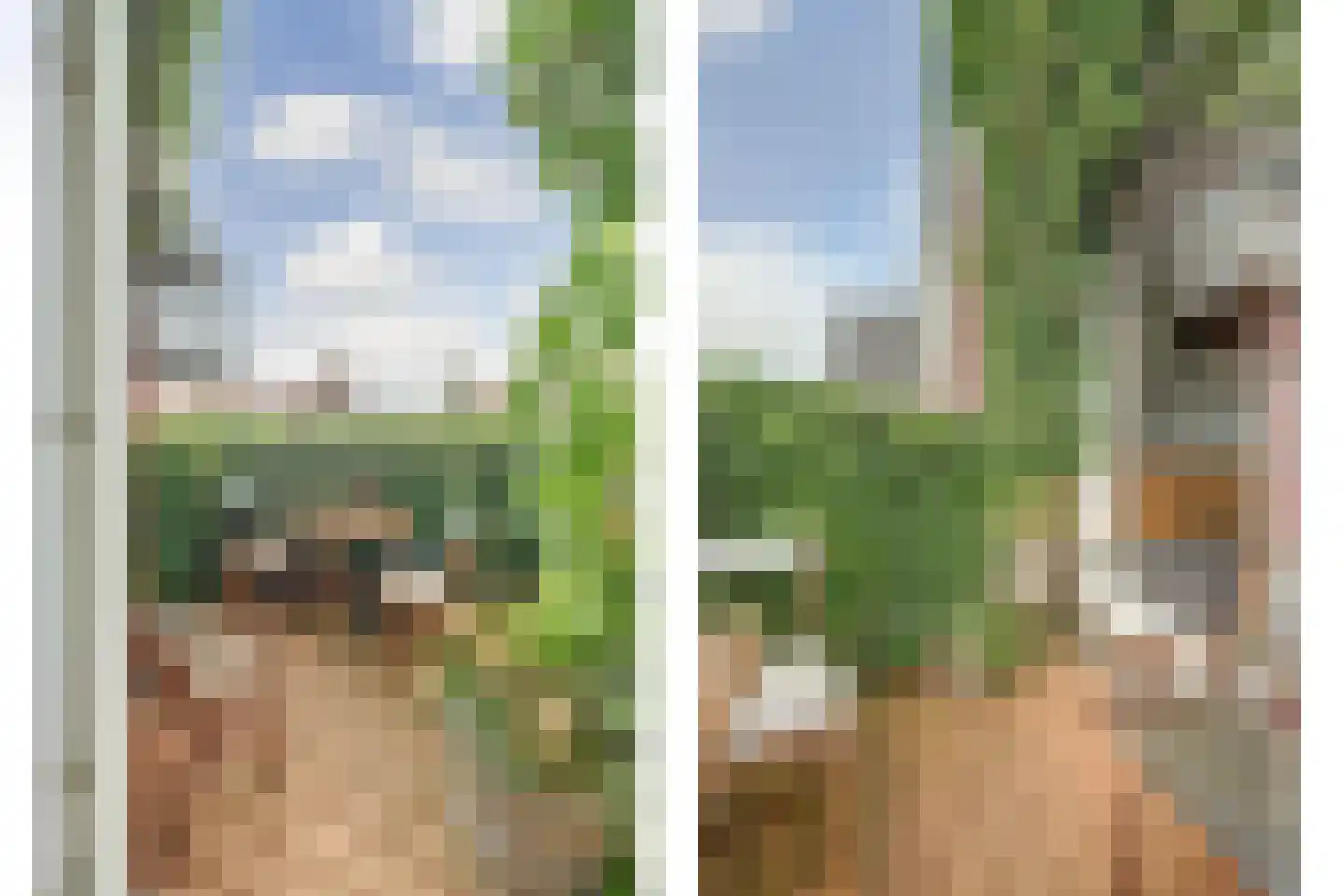Jip en Janneke 13 Kapelle thumbnail 50