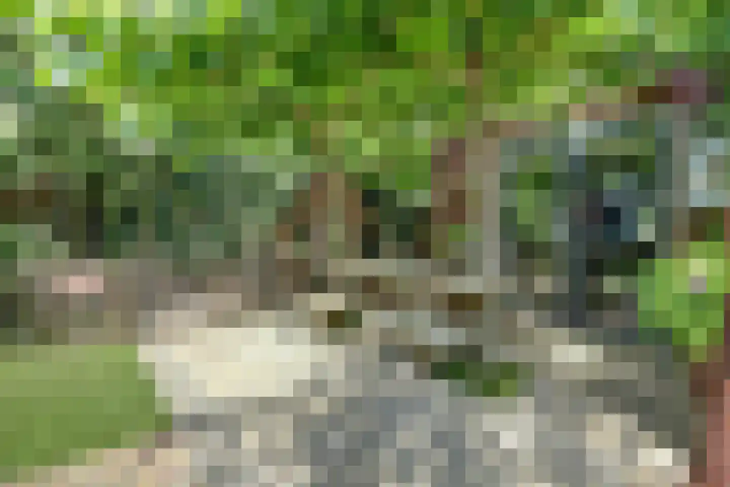 Jip en Janneke 13 Kapelle thumbnail 52