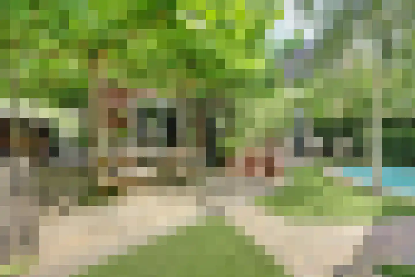 Jip en Janneke 13 Kapelle thumbnail 55