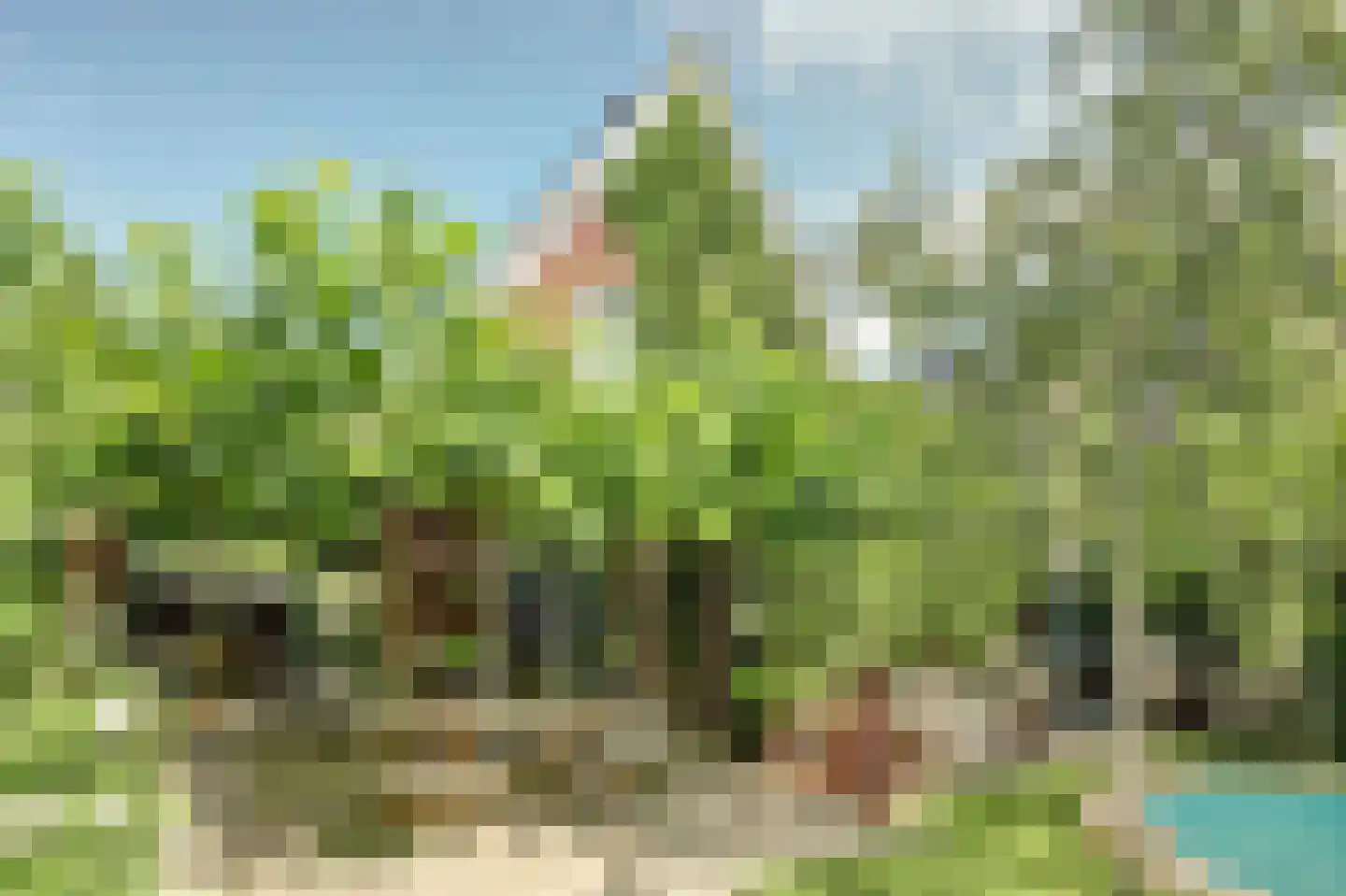 Jip en Janneke 13 Kapelle thumbnail 56