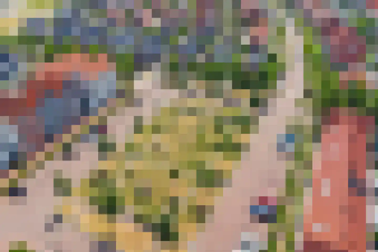 Jip en Janneke 13 Kapelle thumbnail 66