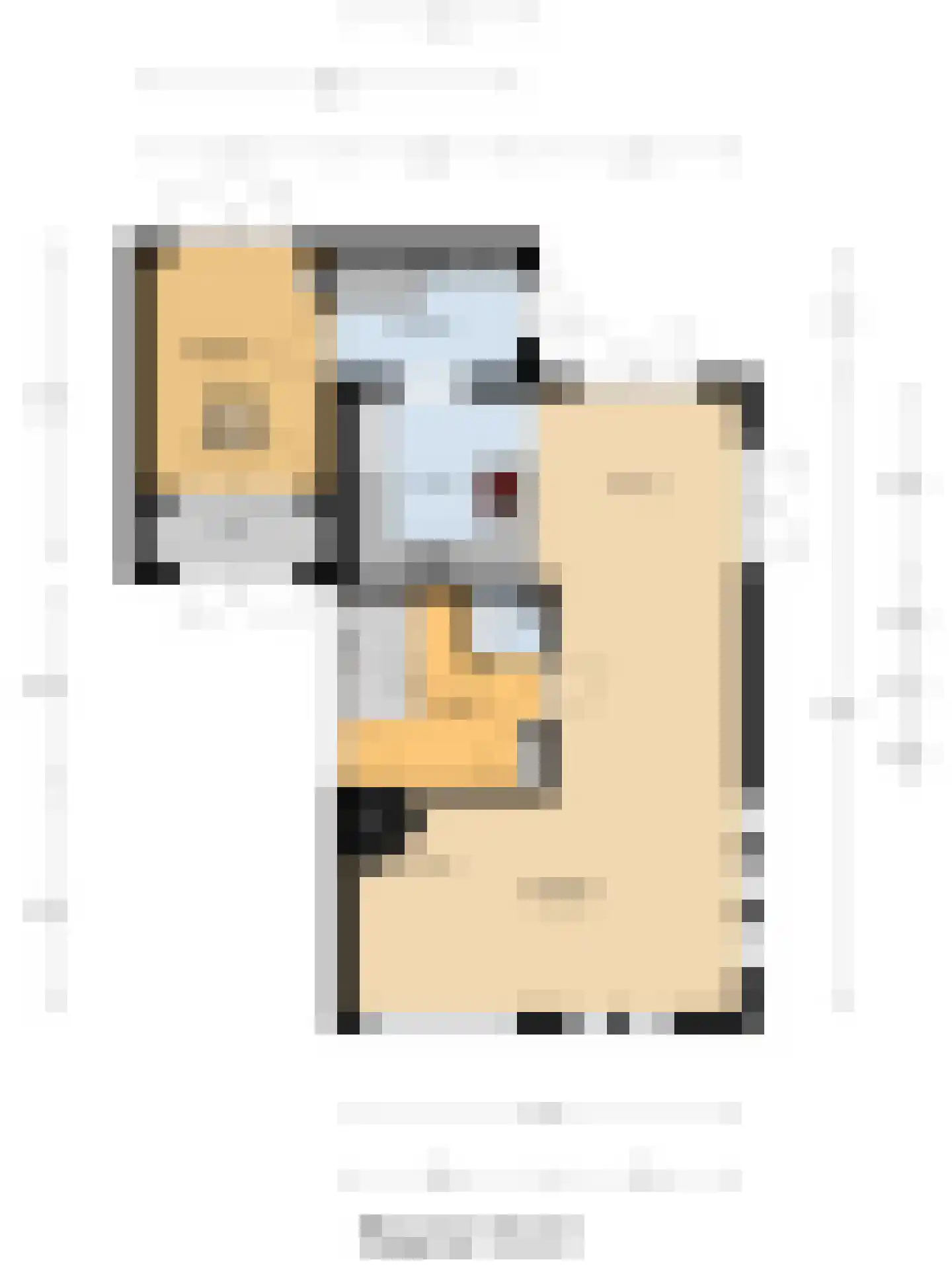 Jip en Janneke 13 Kapelle thumbnail 68
