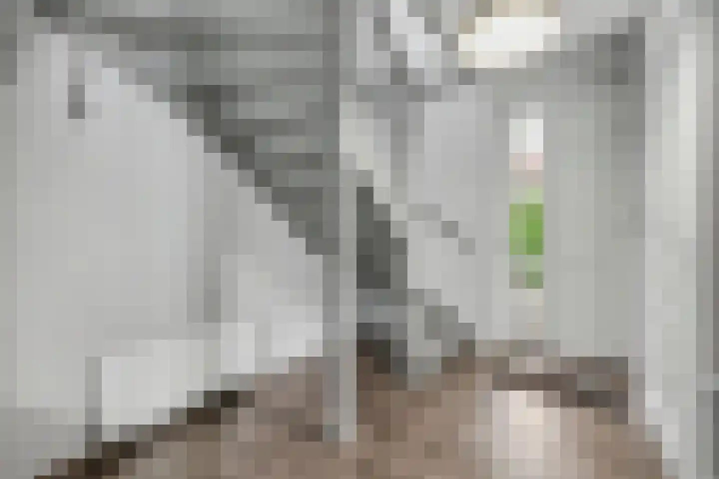 Jip en Janneke 19 Kapelle thumbnail 12